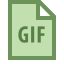 GIS icon