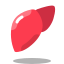 Liver icon