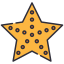 Estrela do Mar icon