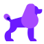 贵宾犬 icon