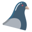 Pigeon icon