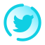 Twitter cerchiato icon