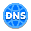 Dns icon