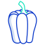 Capsicum icon