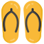 Flipflops icon