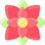 Poinsettia icon