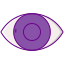 Eye icon