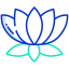 Lotus icon