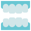 False Teeth icon