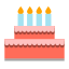 Pastel de cumpleaños icon