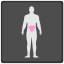 raio-X-de-dor de estômago-externo-outros-inmotus-design icon