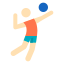 pele-de-jogador-de-vôlei-tipo-1 icon