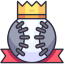 Crown Winner icon