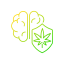 Brain Protection icon