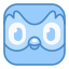 Duolingo Logo icon