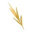 Branch icon