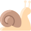 Snail icon