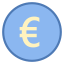 Euro icon