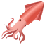 calamar- icon