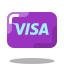 Visa icon