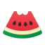 수박 한 조각 icon