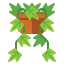English Ivy icon