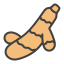 Turmeric icon