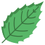 Holly Leaf icon