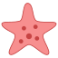 Estrella de mar icon