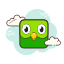 логотип Duolingo icon