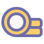 Coin icon