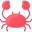 Crabe icon