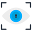 Iris Recognition icon