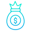 Bolsa de dinero icon