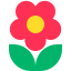 近拍模式 icon