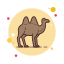 Kamel icon