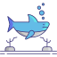 Shark icon