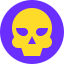 Skull Crossbones icon