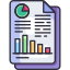 Data Report icon