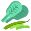 Spinach And Beans icon