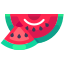 Water Melon icon