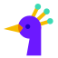 cabeça de pavão icon