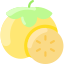 Persimmon icon