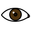 eye icon