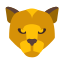 Puma icon