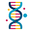 Dna icon