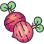 Beet icon