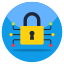 Encryption icon