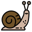 Caracol icon