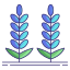 Lavender icon